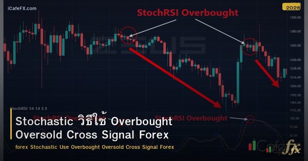 Stochastic วิธีใช้ Overbought Oversold Cross Signal Forex