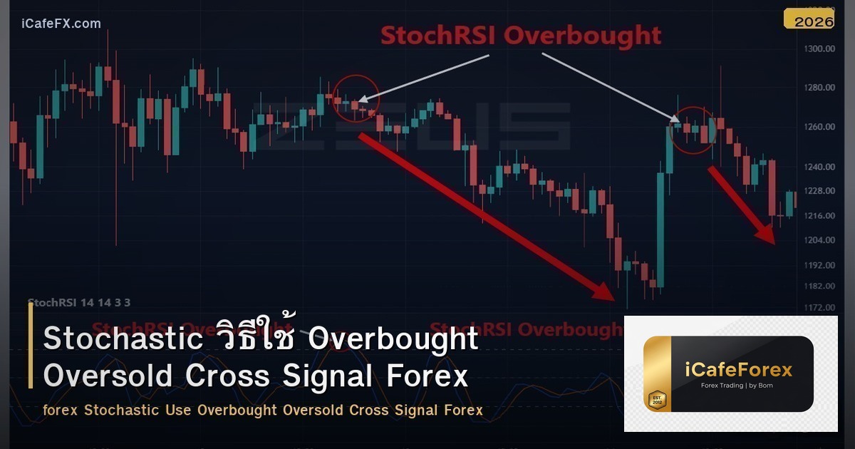 Stochastic วิธีใช้ Overbought Oversold Cross Signal Forex