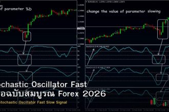 Stochastic Oscillator Fast คู่มือฉบับสมบูรณ์ Forex 2026