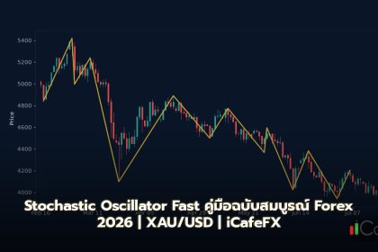 Stochastic Oscillator Fast คู่มือฉบับสมบูรณ์ Forex 2026
