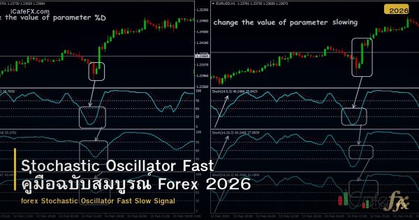 Stochastic Oscillator Fast คู่มือฉบับสมบูรณ์ Forex 2026