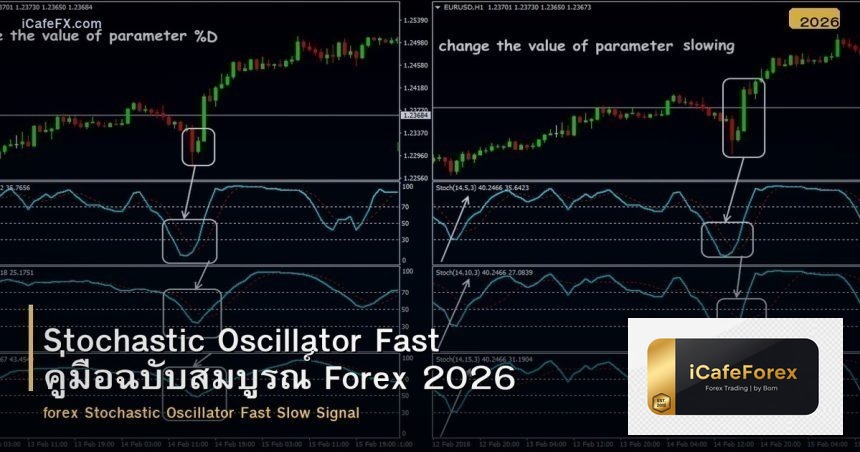 Stochastic Oscillator Fast คู่มือฉบับสมบูรณ์ Forex 2026