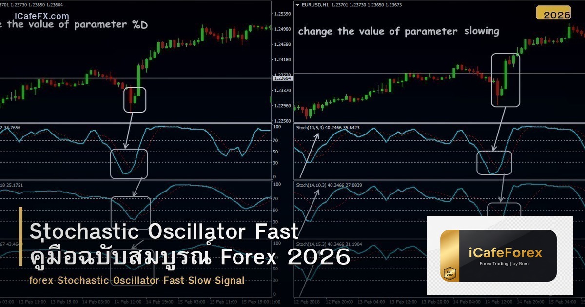 Stochastic Oscillator Fast คู่มือฉบับสมบูรณ์ Forex 2026