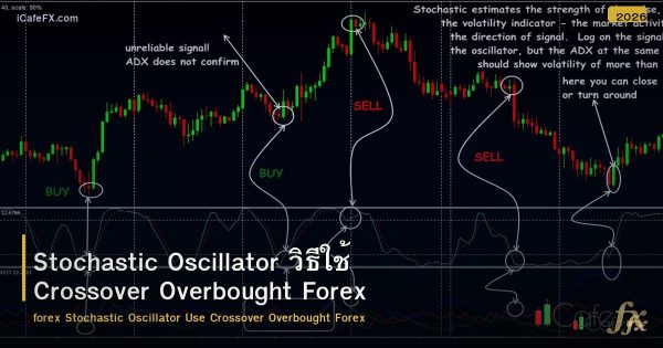 Stochastic Oscillator วิธีใช้ Crossover Overbought Forex