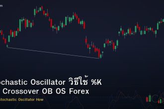 Stochastic Oscillator วิธีใช้ %K %D Crossover OB OS Forex