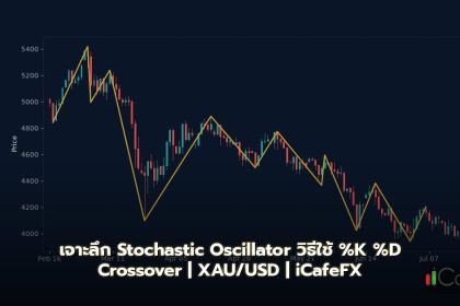 Stochastic Oscillator วิธีใช้ %K %D Crossover OB OS Forex