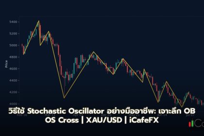 Stochastic Oscillator วิธีใช้ OB OS Cross Signal Forex