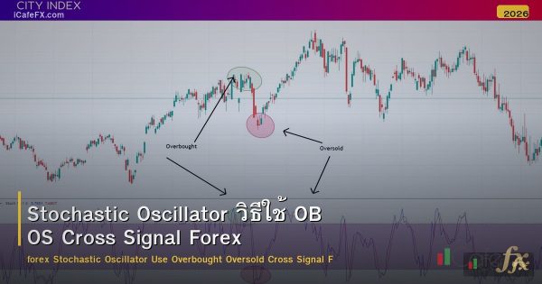 Stochastic Oscillator วิธีใช้ OB OS Cross Signal Forex