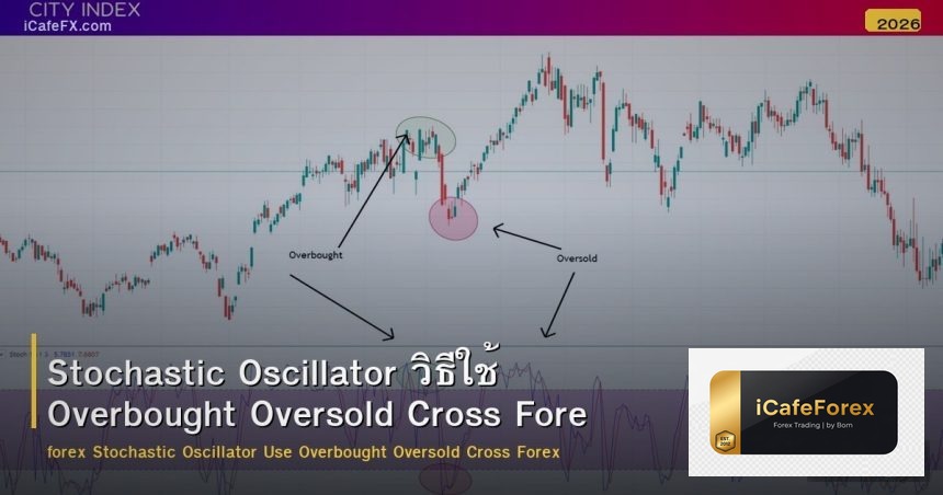 Stochastic Oscillator วิธีใช้ OB OS Cross Signal Forex
