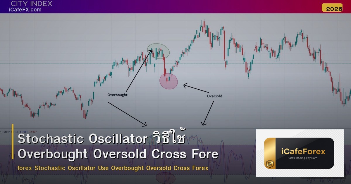 Stochastic Oscillator วิธีใช้ OB OS Cross Signal Forex