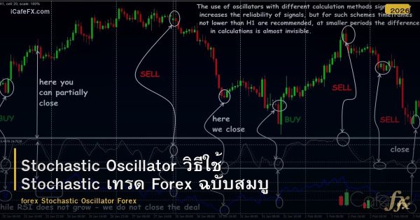 Stochastic Oscillator วิธีใช้ Stochastic เทรด Forex ฉบับสมบูรณ์