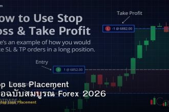 Stop Loss Placement คู่มือฉบับสมบูรณ์ Forex 2026