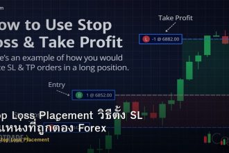 Stop Loss Placement วิธีตั้ง SL ตำแหน่งที่ถูกต้อง Forex