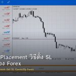 Stop Loss Placement วิธีตั้ง SL อย่างถูกต้อง Forex