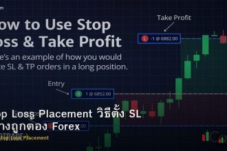 Stop Loss Placement วิธีตั้ง SL อย่างถูกต้อง Forex