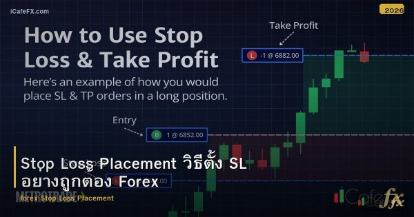 Stop Loss Placement วิธีตั้ง SL อย่างถูกต้อง Forex
