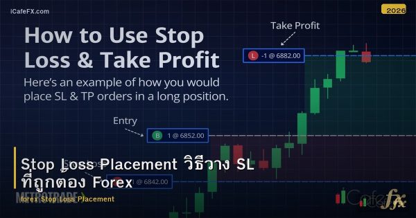 Stop Loss Placement วิธีวาง SL ที่ถูกต้อง Forex