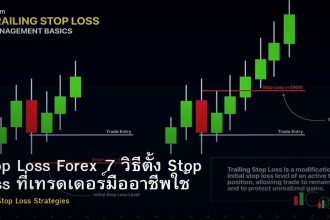 Stop Loss Forex 7 วิธีตั้ง Stop Loss ที่เทรดเดอร์มืออาชีพใช้