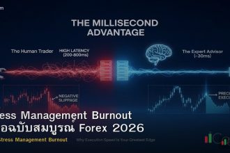 Stress Management Burnout คู่มือฉบับสมบูรณ์ Forex 2026