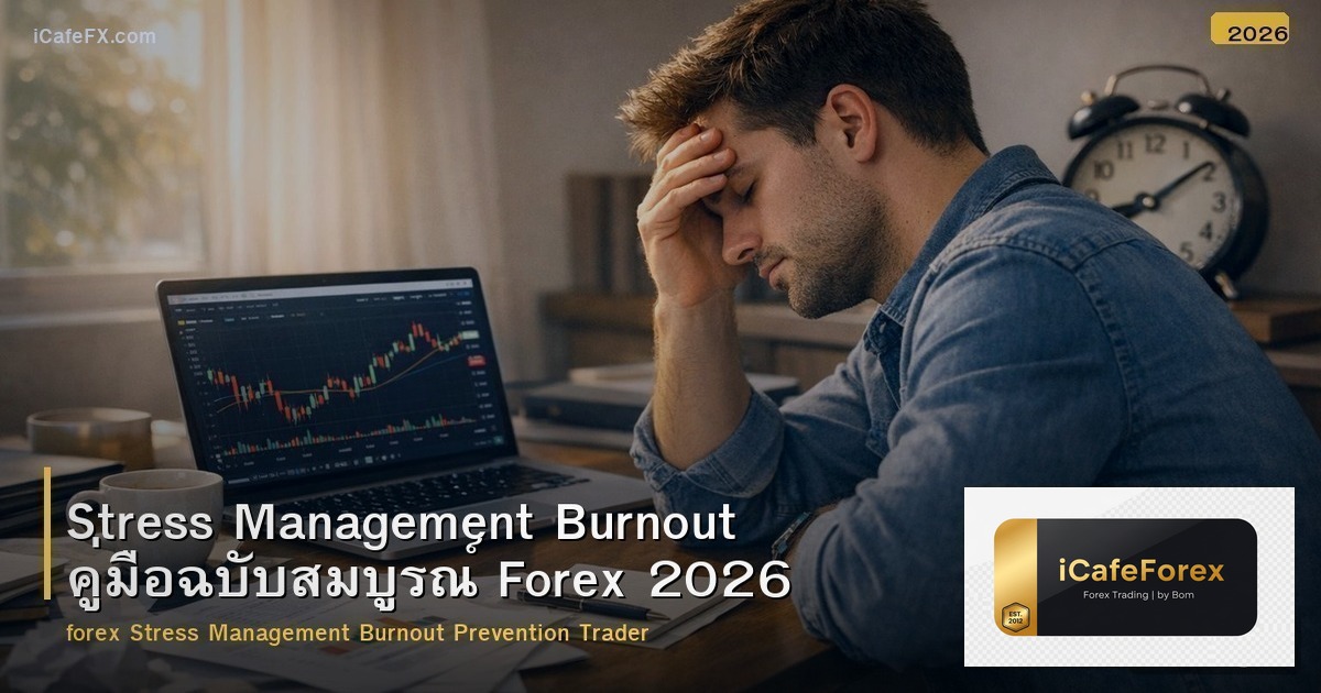Stress Management Burnout คู่มือฉบับสมบูรณ์ Forex 2026