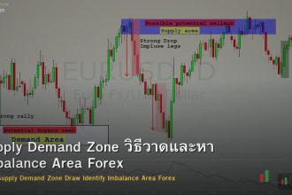 Supply Demand Zone วิธีวาดและหา Imbalance Area Forex