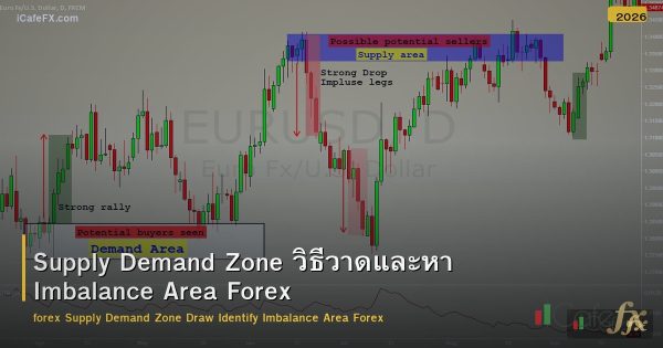 Supply Demand Zone วิธีวาดและหา Imbalance Area Forex