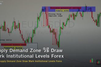 Supply Demand Zone วิธี Draw Mark Institutional Levels Forex