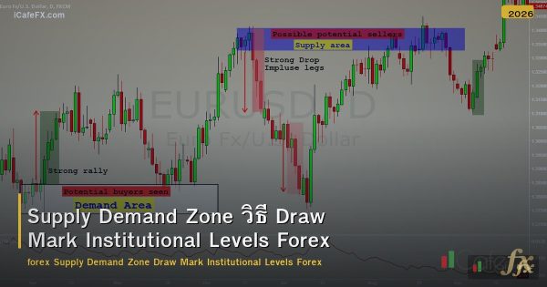 Supply Demand Zone วิธี Draw Mark Institutional Levels Forex