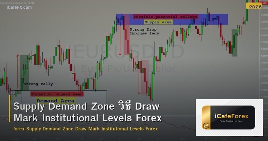 Supply Demand Zone วิธี Draw Mark Institutional Levels Forex