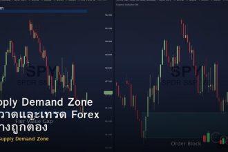 Supply Demand Zone วิธีวาดและเทรด Forex อย่างถูกต้อง