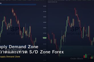 Supply Demand Zone วิธีวาดและเทรด S/D Zone Forex
