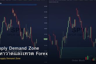 Supply Demand Zone วิธีหาวาดและเทรด Forex