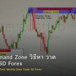 Supply Demand Zone วิธีหา วาด และเทรด SD Forex