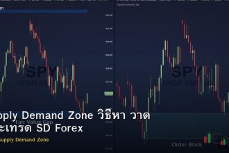 Supply Demand Zone วิธีหา วาด และเทรด SD Forex