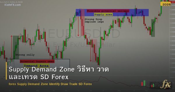 Supply Demand Zone วิธีหา วาด และเทรด SD Forex