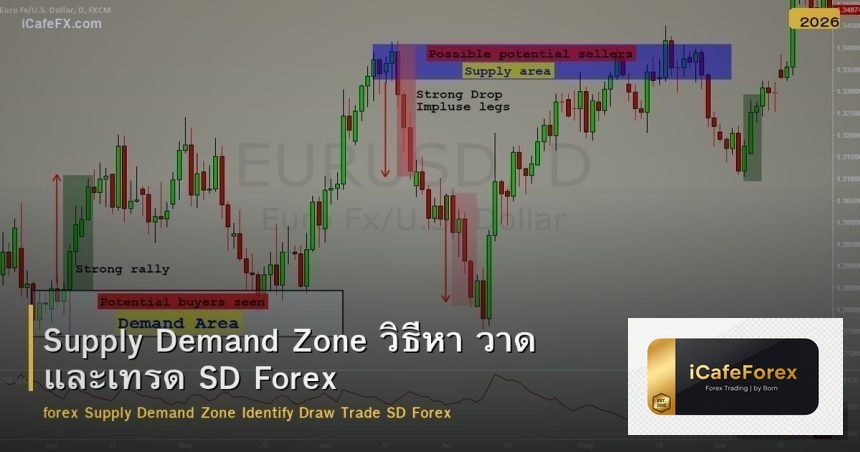 Supply Demand Zone วิธีหา วาด และเทรด SD Forex