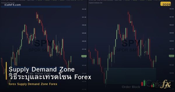 Supply Demand Zone วิธีระบุและเทรดโซน Forex