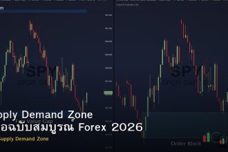 Supply Demand Zone คู่มือฉบับสมบูรณ์ Forex 2026