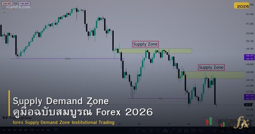 Supply Demand Zone คู่มือฉบับสมบูรณ์ Forex 2026