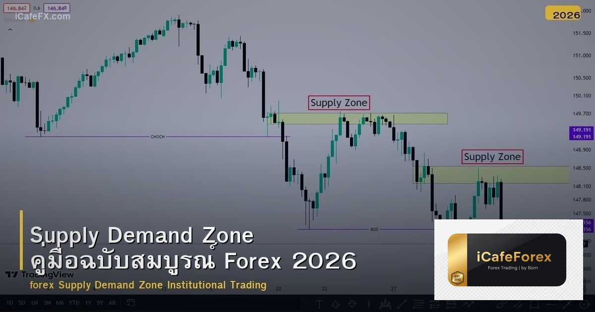 Supply Demand Zone คู่มือฉบับสมบูรณ์ Forex 2026