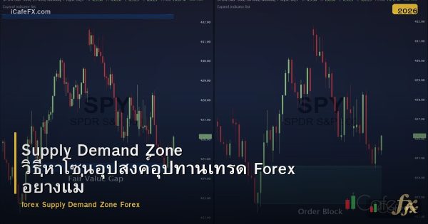 Supply Demand Zone วิธีหาโซนอุปสงค์อุปทานเทรด Forex อย่างแม่นยำ