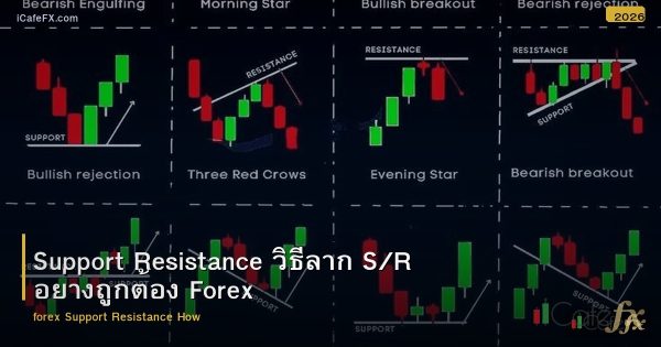 Support Resistance วิธีลาก S/R อย่างถูกต้อง Forex