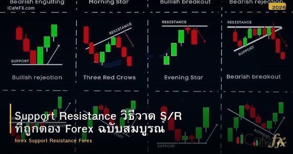 Support Resistance วิธีลาก S/R อย่างถูกต้อง Forex