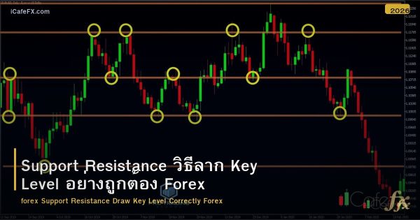 Support Resistance วิธีลาก Key Level อย่างถูกต้อง Forex