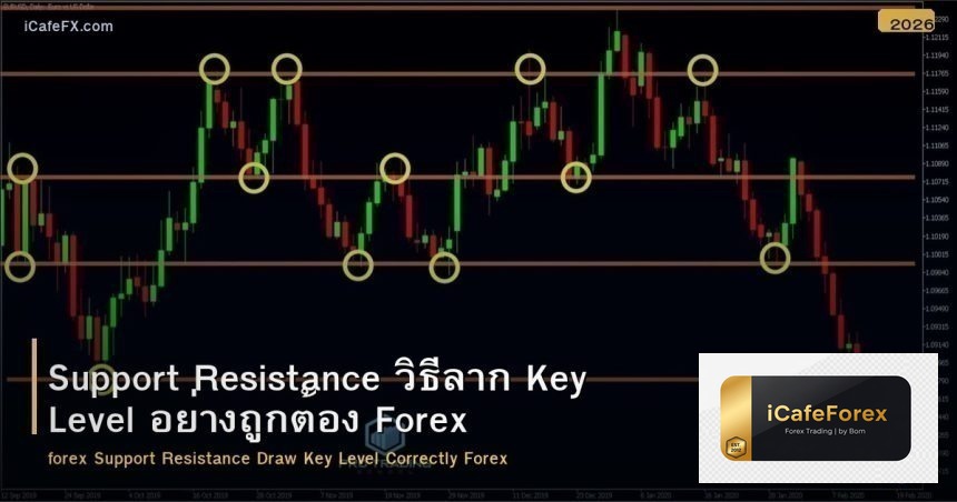Support Resistance วิธีลาก Key Level อย่างถูกต้อง Forex