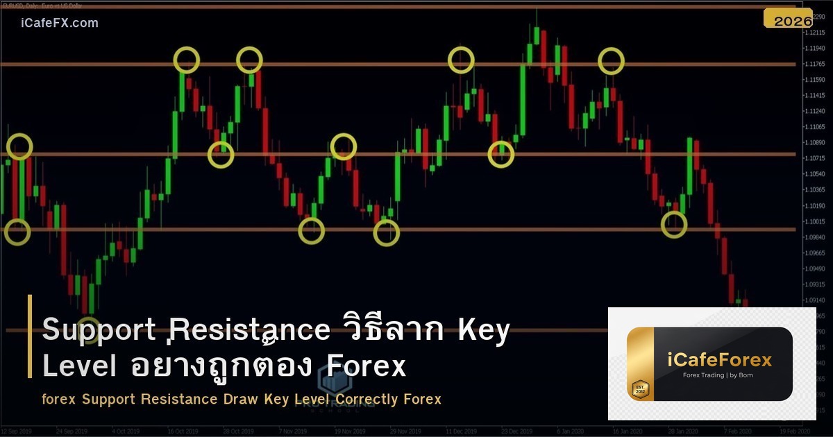 Support Resistance วิธีลาก Key Level อย่างถูกต้อง Forex