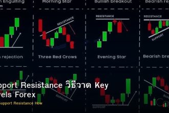 Support Resistance วิธีวาด Key Levels Forex