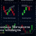Support Resistance วิธีหาและเทรด S/R ใน Forex ฉบับสมบูรณ์