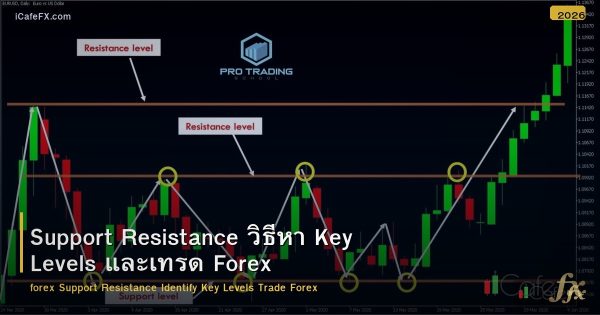 Support Resistance วิธีหา Key Levels และเทรด Forex
