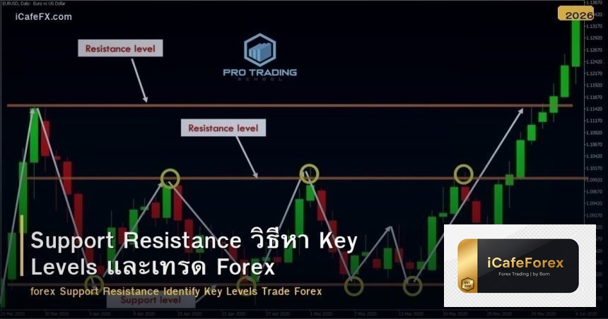 Support Resistance วิธีหา Key Levels และเทรด Forex